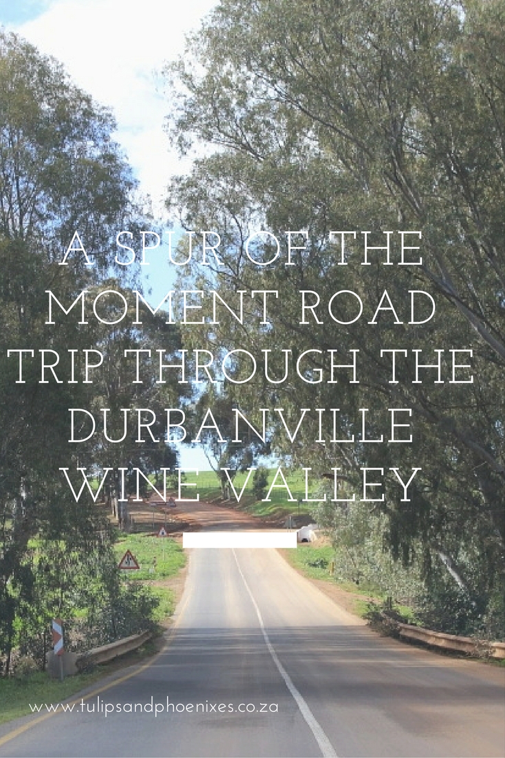 durbanville wine valley 