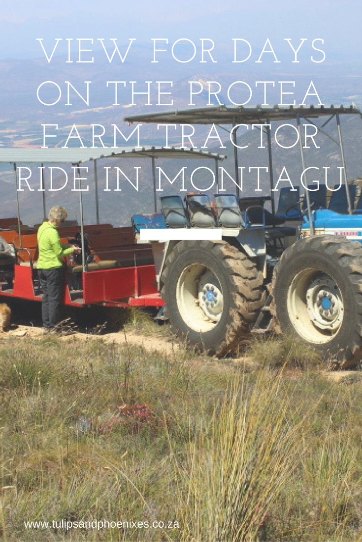 protea farm tractor ride